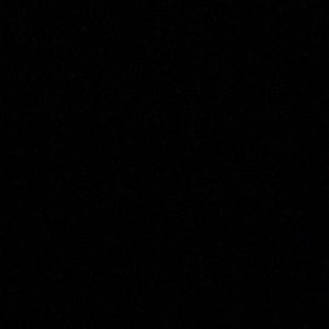 Meet your Posher, Noel